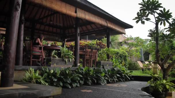 Restoran Otelinde Kahvaltı Ederken Telefonuna Bakan Bir Kadın Bali Endonezya Telifsiz Stok Video