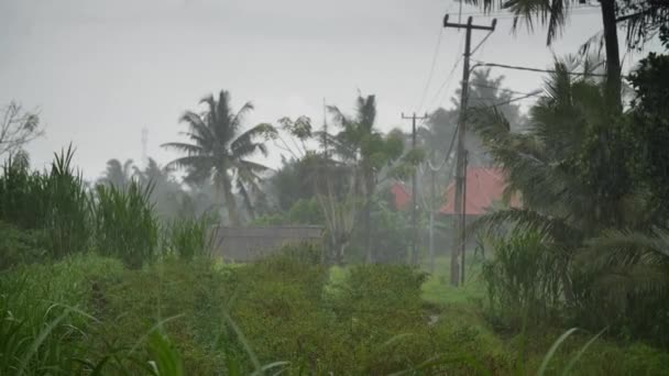 Вид Ресторана Проливным Дождем Бали Индонезия Высококачественные Fullhd Замедленные Кадры — стоковое видео