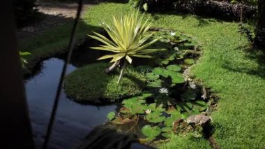 Bungalov terasından küçük gölet manzarası. Bali, Endonezya. Yüksek kaliteli FullHD yavaş çekim görüntüleri.