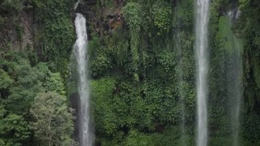 Sekumpul şelalesi Endonezya 'nın Bali ormanının ortasına düşüyor. Yüksek kaliteli FullHD yavaş çekim görüntüleri