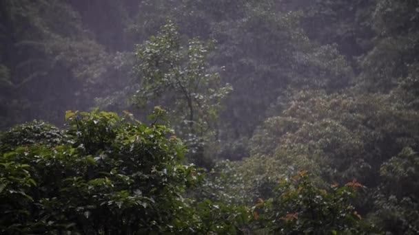 Bali Endonezya Şiddetli Yağmur Var Yüksek Kaliteli Fullhd Yavaş Çekim Stok Video