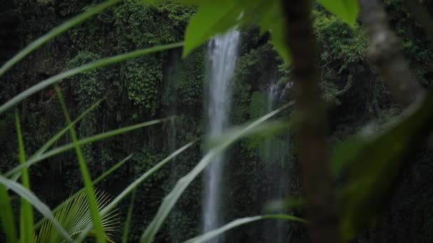 Sekumpul Şelalesi Ormanın Ortasında Bali Endonezya Yüksek Kaliteli Fullhd Yavaş Stok Çekim 