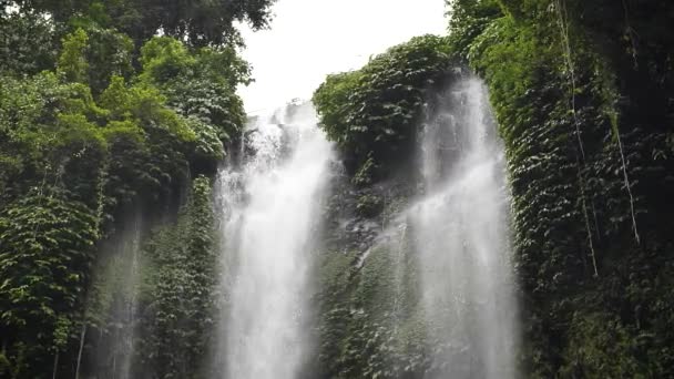 Sekumpul Şelalesi Ormanın Ortasında Bali Endonezya Yüksek Kaliteli Fullhd Yavaş Telifsiz Stok Video