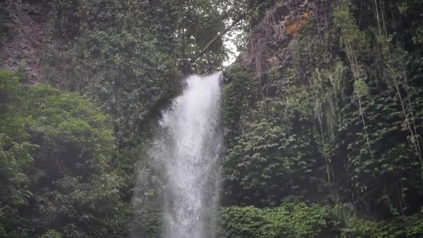 Cascade Sekumpul Milieu Jungle Bali Indonésie Images Haute Qualité Full — Video