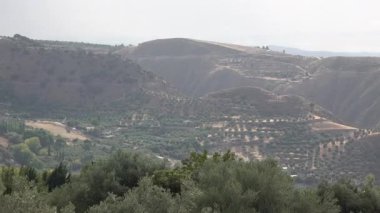 Sierra Nevada 'daki Endülüs tepeleri, zeytin tarlaları ve küçük ormanları olan neraby Granada, İspanya. Yüksek kalite 4k görüntü