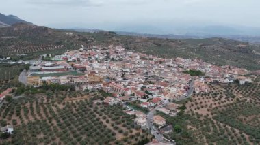 Beyaz evleri ve Granada, İspanya yakınlarındaki zeytinlikleri olan geleneksel Endülüs köyü. Yüksek kalite 4k drone görüntüsü