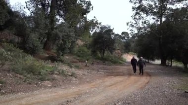 Barcelona yakınlarındaki dağlarda yürüyüş yapan yaşlı çift. Yüksek kalite 4k görüntü