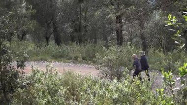 Barcelona yakınlarındaki dağlarda yürüyüş yapan yaşlı çift. Yüksek kalite 4k görüntü
