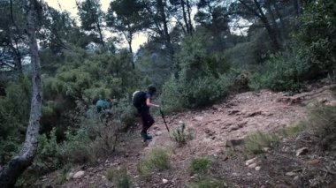 Dişi arkadaşlar gerçek kayaya tırmanıyorlar. Yüksek kalite 4k görüntü