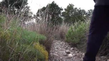 Barcelona yakınlarındaki dağlarda yürüyüş yapan yaşlı çift. Yüksek kalite 4k görüntü