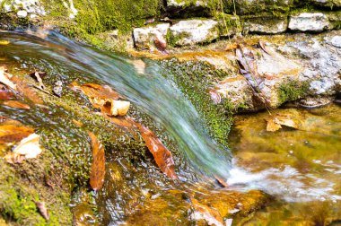 Mountain stream, water shortage and drought. Dry rivers.