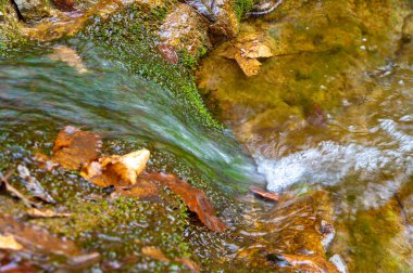 Mountain stream, water shortage and drought. Dry rivers.