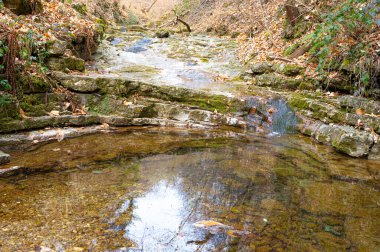 Mountain stream, water shortage and drought. Dry rivers.