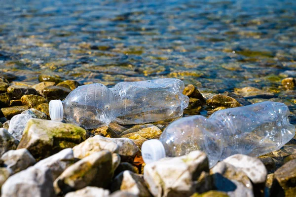 Plastik şişe çevreye terk edilmiş. Plastik kirliliği ve atık geri dönüşümü.