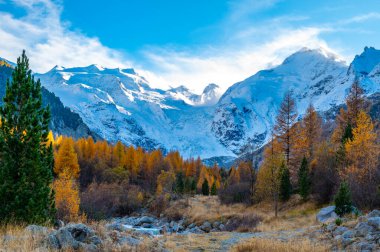 Sonbaharda Morteratsch buzulunun yakın görüntüsü, Engadin, İsviçre.