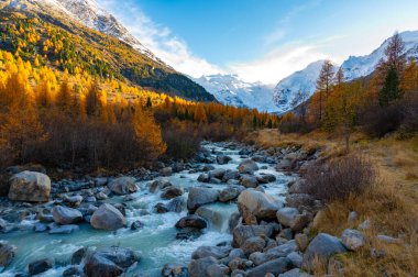 Sonbaharda Morteratsch buzulunun yakın görüntüsü, Engadin, İsviçre.