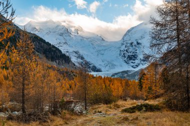Sonbaharda Morteratsch buzulunun yakın görüntüsü, Engadin, İsviçre.
