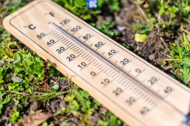 Çimenlerde termometre var. Artan sıcaklıklar ve küresel ısınma.