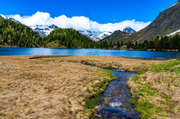 stock image A view of the Cavlocc lake, in Engadine, Switzerland, and the mountains that surround it.