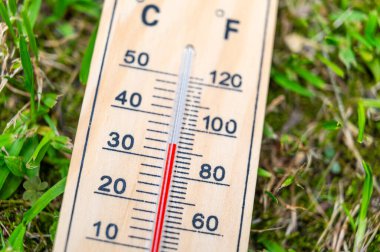 Çimenlerde termometre var. Artan sıcaklıklar ve küresel ısınma.