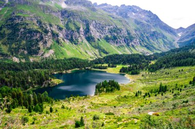 İsviçre, Engadine 'deki Cavlocc Gölü manzarası ve onu çevreleyen dağlar..