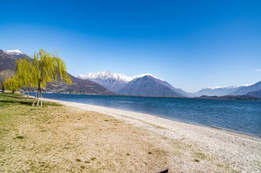 Como Gölü kıyısında ağaçlar. Domaso 'da manzara, doğa. Güneşli bir günde göl ve spor. Özgürlük.