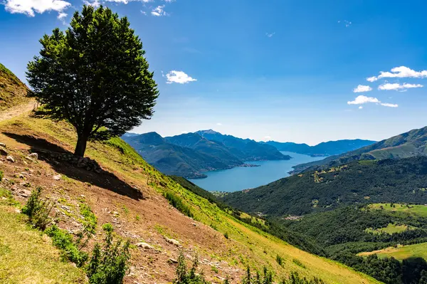 Yukarıdan Como Gölü 'nün panoraması, Alpe Motta, Peglio' da, dağların ve göl kenarındaki köylerin manzarası ile çekildi..