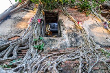 Buda, Tayland 'ın Samut Songkhram kenti Amphawa kasabasındaki Wat Bang Kung' da, Kasım ayında, 