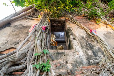 Buda, Tayland 'ın Samut Songkhram kenti Amphawa kasabasındaki Wat Bang Kung' da, Kasım ayında, 