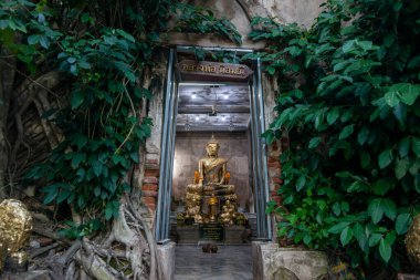 Buda, Tayland 'ın Samut Songkhram kenti Amphawa kasabasındaki Wat Bang Kung' da, Kasım ayında, 