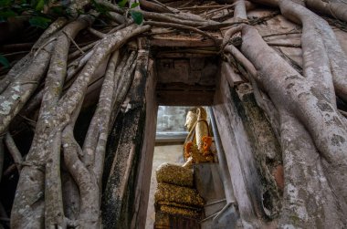 Buda, Tayland 'ın Samut Songkhram kenti Amphawa kasabasındaki Wat Bang Kung' da, Kasım ayında, 