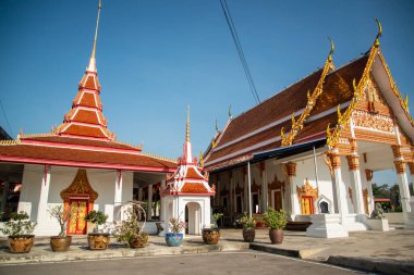 Wat Bang Koh Theppasakin Tayland 'ın Samut Songkhram ilindeki Amphawa kasabası, Kasım 2022