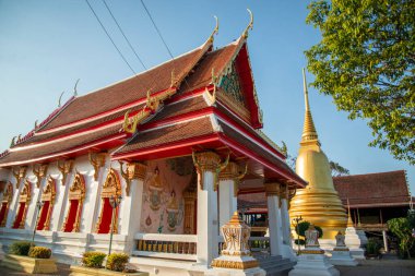 Amphawa kasabasındaki Wat Bang Balosu Tayland 'da Samut Songkhram, Amphawa, Kasım, 