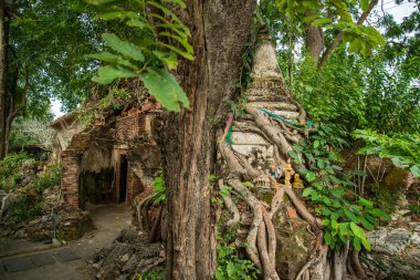 Tayland 'ın Samut Songkhram kenti Amphawa kasabasındaki Wat Bang Kapom' da eski bir stupa., 