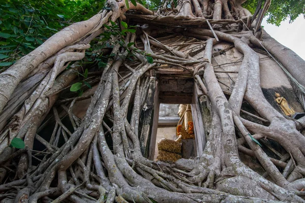 Buda, Tayland 'ın Samut Songkhram kenti Amphawa kasabasındaki Wat Bang Kung' da, Kasım ayında, 