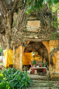 Tayland 'ın Ratchaburi kenti yakınlarındaki Wat Muang Mon Çalışma Merkezi' nde eski bir Buda Tapınağı ve Tapınağı, Kasım 2022