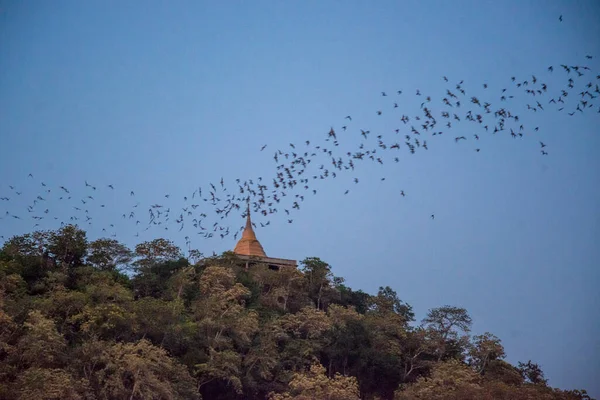 Ένα Εκατομμύριο Νυχτερίδες Πετούν Έξω Από Σπήλαιο Kang Khao Στο — Φωτογραφία Αρχείου