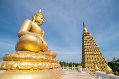 Wat Phai Lom, Tayland 'ın Ayutthaya iline bağlı Bang köyünde, Kasım 2022