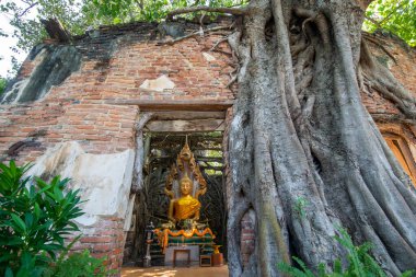 Ang Thong şehrindeki Wat Sang Kratai Tayland 'da Ang Thong, Ang Thong, Kasım 2022