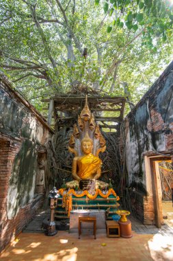 Ang Thong şehrindeki Wat Sang Kratai Tayland 'da Ang Thong, Ang Thong, Kasım 2022