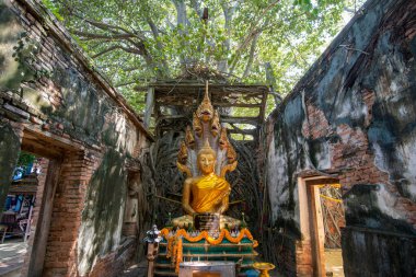 Ang Thong şehrindeki Wat Sang Kratai Tayland 'da Ang Thong, Ang Thong, Kasım 2022