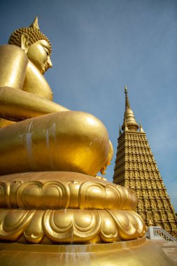 Wat Phai Lom, Tayland 'ın Ayutthaya iline bağlı Bang köyünde, Kasım 2022