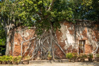Ang Thong şehrindeki Wat Sang Kratai Tayland 'da Ang Thong, Ang Thong, Kasım 2022