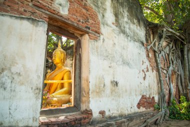 Ang Thong şehrindeki Wat Sang Kratai Tayland 'da Ang Thong, Ang Thong, Kasım 2022