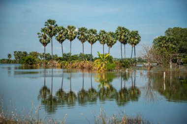 Tayland, Tayland, Ang Tangası 'ndaki Ang Tangası şehrinin yakınlarında bir yağmur ve sel baskını. Kasım 2022
