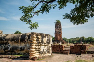 Tayland 'ın Ayutthaya eyâletindeki Ayutthaya kentinde, Wat Lokayasutharam' da yaslanan Buda tapınağı, Kasım 2022