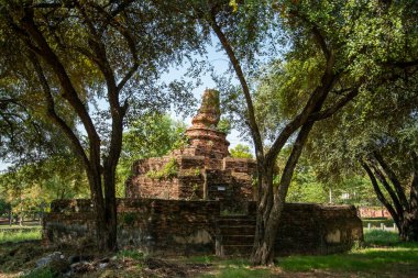 Wat Warapho harabeleri veya ne Wang Rakhang Tayland 'ın Ayutthaya ilinde Ayutthaya şehrinde Kasım 2022