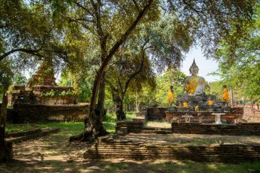 Wat Warapho harabeleri veya ne Wang Rakhang Tayland 'ın Ayutthaya ilinde Ayutthaya şehrinde Kasım 2022