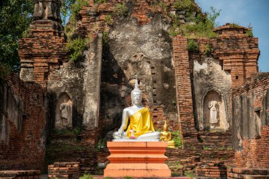 Ayutthaya şehrindeki Wat Choeng Tha kalıntıları Tayland 'ın Ayutthaya ili, Ayutthaya, Ayutthaya, Kasım 2022