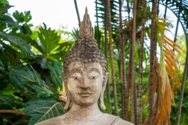 Tayland 'ın Ayutthaya eyâletindeki Wat Yai Chai Mongkon' da bir Buda, Kasım 2022